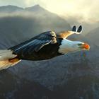 Размещение интеграции в Telegram. Логотип Телеграм канала @stratmarketing