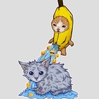 Размещение интеграции в Telegram. Логотип Телеграм канала "Howtowashacat" Размещение интеграции в Telegram. Логотип Телеграм канала @howtowashacat