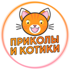 Размещение интеграции в Telegram. Логотип Телеграм канала "Приколы и котики" Размещение интеграции в Telegram. Логотип Телеграм канала @prikotik