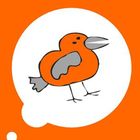 Размещение интеграции в Telegram. Логотип Телеграм канала "Chatter-Bird" Размещение интеграции в Telegram. Логотип Телеграм канала @chatterclub