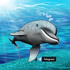 Размещение интеграции в Telegram. Логотип Телеграм канала "Мир океана" Размещение интеграции в Telegram. Логотип Телеграм канала @oceanfoto