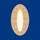 Размещение интеграции в Telegram. Логотип Телеграм канала "Финиш" Размещение интеграции в Telegram. Логотип Телеграм канала @finnished