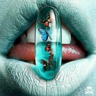 Размещение интеграции в Telegram. Логотип Телеграм канала БУНКЕР