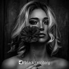 Размещение интеграции в Telegram. Логотип Телеграм канала @black_territory