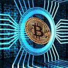 Advertising in Telegram. Telegram Channel logo "Universal Crypto Signals Pro" Advertising in Telegram. Telegram Channel logo @universalcryptosignals