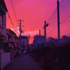 Размещение интеграции в Telegram. Логотип Телеграм канала "Русский в Японии" Размещение интеграции в Telegram. Логотип Телеграм канала @from_japan