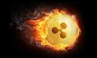 Размещение интеграции в Telegram. Логотип Телеграм канала "Ripple XRP Channel (Новости рипл)" Размещение интеграции в Telegram. Логотип Телеграм канала @RippleCoinNews