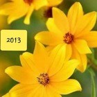 Advertising in Telegram. Telegram Channel logo @jobs_in_inter