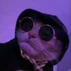 Размещение интеграции в Telegram. Логотип Телеграм канала @young_picture