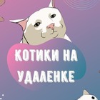 Размещение интеграции в Telegram. Логотип Телеграм канала "Котики на удаленке" Размещение интеграции в Telegram. Логотип Телеграм канала Котики на удаленке