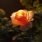 Размещение интеграции в Telegram. Логотип Телеграм канала "КРАСИВЫЙ ТЕЛЕГРАММ" Размещение интеграции в Telegram. Логотип Телеграм канала @beauty_telegram