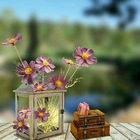 Размещение интеграции в Telegram. Логотип Телеграм канала @mittifarishtam_tv