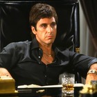 Advertising in Telegram. Telegram Channel logo @alpacinotipsbahistahmin