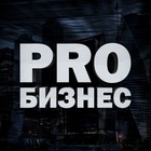 Размещение интеграции в Telegram. Логотип Телеграм канала "PRO Бизнес" Размещение интеграции в Telegram. Логотип Телеграм канала @PRO_biz_channel