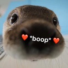 Advertising in Telegram. Telegram Channel logo "Cute Happy Stuffs" Advertising in Telegram. Telegram Channel logo @Cutehappystuffs