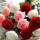 Размещение интеграции в Telegram. Логотип Телеграм канала "Ёжик добрый" Размещение интеграции в Telegram. Логотип Телеграм канала @ezhikdobryy