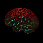 Размещение интеграции в Telegram. Логотип Телеграм канала "Ритейл головного мозга" Размещение интеграции в Telegram. Логотип Телеграм канала @fashionretail