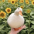 Размещение интеграции в Telegram. Логотип Телеграм канала @soxranenki_ii