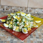 Размещение интеграции в Telegram. Логотип Телеграм канала @sa_lat