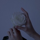 Advertising in Telegram. Telegram Channel logo "山渐青" Advertising in Telegram. Telegram Channel logo @wenmouxx