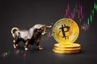 Advertising in Telegram. Telegram Channel logo "Crypto Bull Run 2023-25" Advertising in Telegram. Telegram Channel logo @VIP_Trade2021