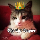Advertising in Telegram. Telegram Channel logo "The Cat Empire" Advertising in Telegram. Telegram Channel logo The Cat Empire