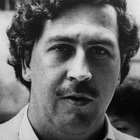Advertising in Telegram. Telegram Channel logo "Serie Pablo Escobar" Advertising in Telegram. Telegram Channel logo @pabloelpatrondelmal