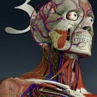 Advertising in Telegram. Telegram Channel logo @Anatomy2019