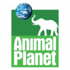 Advertising in Telegram. Telegram Channel logo "Animal Planet 🐊" Advertising in Telegram. Telegram Channel logo @animal_pIanet