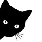Размещение интеграции в Telegram. Логотип Телеграм канала "Котофей" Размещение интеграции в Telegram. Логотип Телеграм канала Котофей