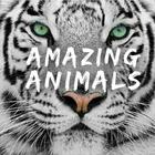 Advertising in Telegram. Telegram Channel logo "Amazing Animals" Advertising in Telegram. Telegram Channel logo @Animali_Mania