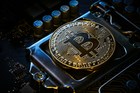 Advertising in Telegram. Telegram Channel logo "CRYPTO SIGNALS DAILY" Advertising in Telegram. Telegram Channel logo @quizbinaryforneetug