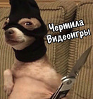 Размещение интеграции в Telegram. Логотип Телеграм канала "Чертила | Видеоигры" Размещение интеграции в Telegram. Логотип Телеграм канала @chertilavideogames