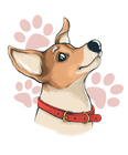 Размещение интеграции в Telegram. Логотип Телеграм канала "СОБАКА-УЛЫБАКА 🐕" Размещение интеграции в Telegram. Логотип Телеграм канала @sobaka_animals