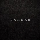 Размещение интеграции в Telegram. Логотип Телеграм канала "J A G U A R" Размещение интеграции в Telegram. Логотип Телеграм канала @jaguarnew