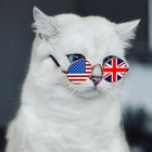 Размещение интеграции в Telegram. Логотип Телеграм канала 🇬🇧🇺🇸Kittyeng | Английский язык🇬🇧🇺🇸