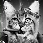 Размещение интеграции в Telegram. Логотип Телеграм канала "На позитиве !!!" Размещение интеграции в Telegram. Логотип Телеграм канала @vozmutite