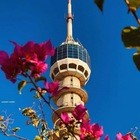 Advertising in Telegram. Telegram Channel logo "حجايات بغداد🇮🇶" Advertising in Telegram. Telegram Channel logo @HJAYATT