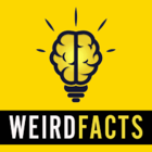 Advertising in Telegram. Telegram Channel logo "Weird Facts" Advertising in Telegram. Telegram Channel logo @weird_facts_TM