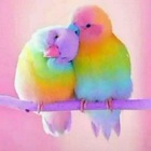 Advertising in Telegram. Telegram Channel logo "😘💞प्रेम🤟मैत्री स्टेटस 💯" Advertising in Telegram. Telegram Channel logo @Marathi_Love_Status_Channel