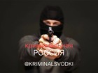Размещение интеграции в Telegram. Логотип Телеграм канала @KRIMINALSVODKI