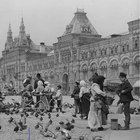 Размещение интеграции в Telegram. Логотип Телеграм канала "О Москве с любовью" Размещение интеграции в Telegram. Логотип Телеграм канала @Moscow_with_love
