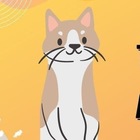 Размещение интеграции в Telegram. Логотип Телеграм канала "ФРИЛАНС ЧАТ | РАБОТА ЧАТ | КОТИК" Размещение интеграции в Telegram. Логотип Телеграм канала @freelance_rabota_chat