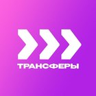 Размещение интеграции в Telegram. Логотип Телеграм канала @Transferstit