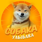 Размещение интеграции в Telegram. Логотип Телеграм канала "Собака-улыбака" Размещение интеграции в Telegram. Логотип Телеграм канала Собака-улыбака