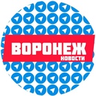 Размещение интеграции в Telegram. Логотип Телеграм канала @vrntelega