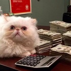 Размещение интеграции в Telegram. Логотип Телеграм канала "первой эякулирует бухгатерия" Размещение интеграции в Telegram. Логотип Телеграм канала @buhcumlter