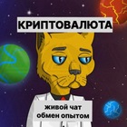 Размещение интеграции в Telegram. Логотип Телеграм канала "Криптовалюта Runblox NFT проекты чат" Размещение интеграции в Telegram. Логотип Телеграм канала @time2nft