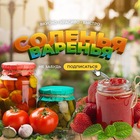 Размещение интеграции в Telegram. Логотип Телеграм канала "Coленья - Вapeнья - Заготовки" Размещение интеграции в Telegram. Логотип Телеграм канала @zagotovki_varenya