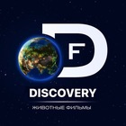 Размещение интеграции в Telegram. Логотип Телеграм канала "Discovery | Животные" Размещение интеграции в Telegram. Логотип Телеграм канала Discovery | Животные